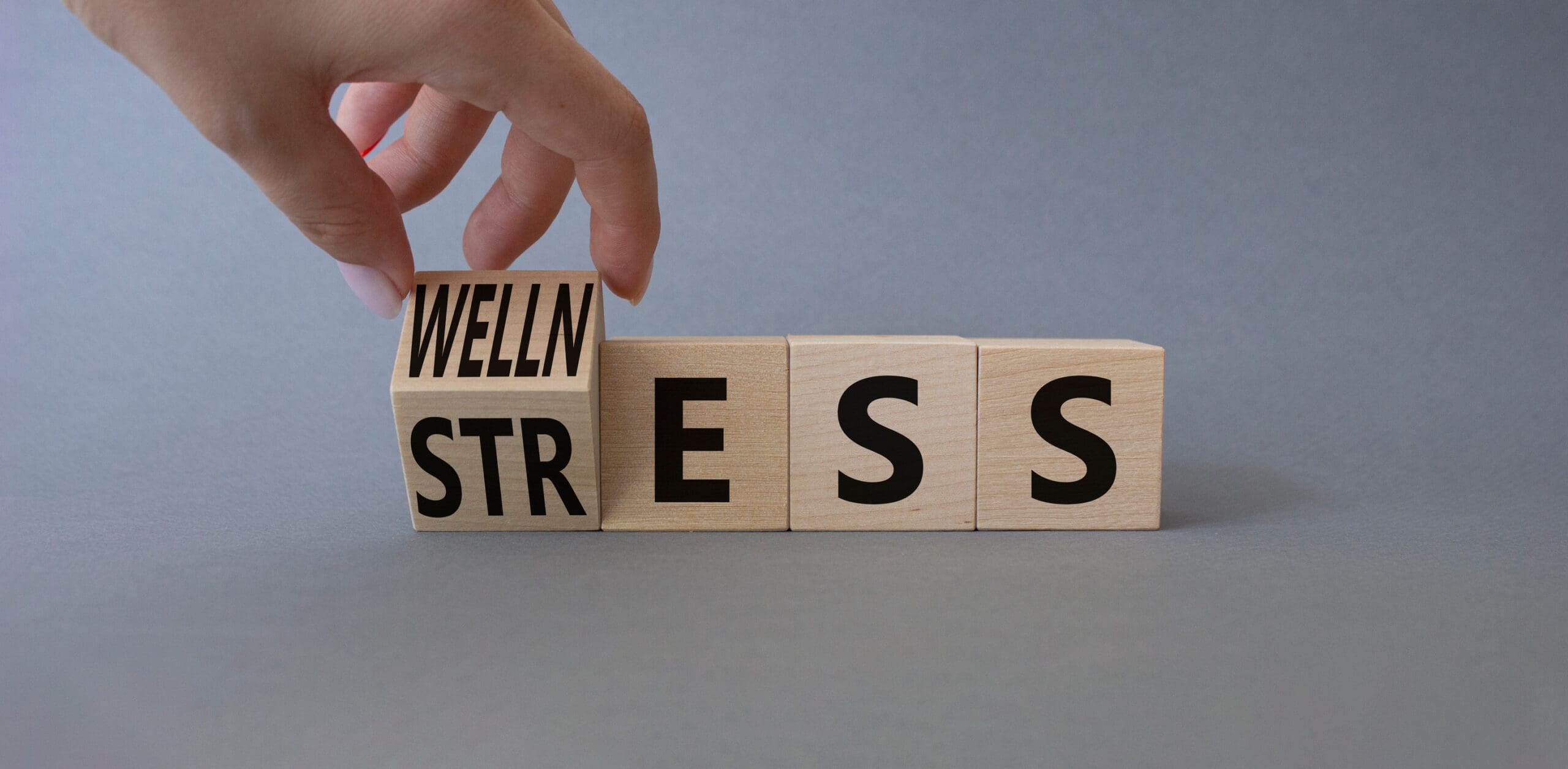 Wellness and Stress symbol. Busnessman hand. Turned Wooden cubes with word Wellness and Stress. Beautiful grey background. Business and Wellness and Stress concept. Copy space.
